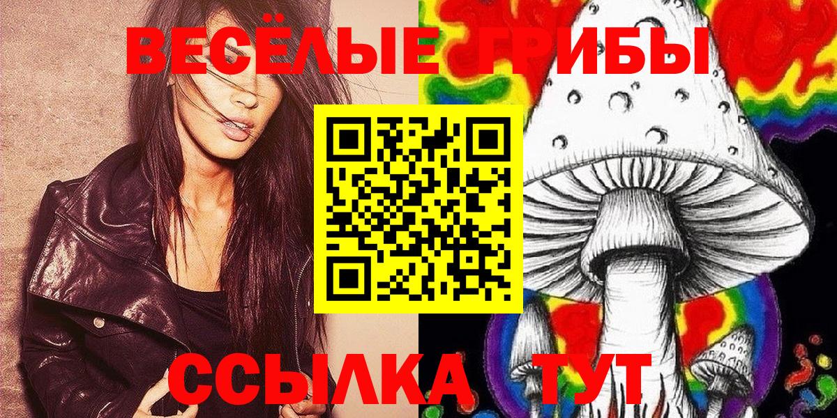 Галлюциногенные грибы Psilocybe  Вход с VPN  где продают   Сегежа 